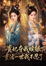 贵妃夺我赎银，重活一世我不忍了